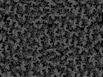 Carbon Skulls Decal